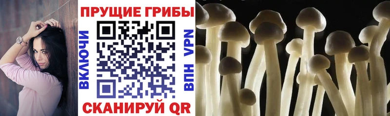Галлюциногенные грибы ЛСД  Омск 